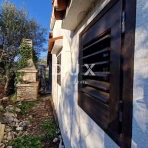 ISTRA, ROVINJ - Kuća s prekrasnim vinogradom i maslinikom