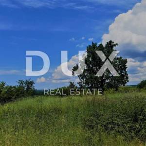 ISTRA, ROVINJ, OKOLICA - Građevinsko zemljište 1458 m2 sa otvorenim pogledom na prirodu