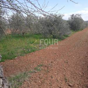 Istra, Rovinj-okolica, poljoprivredno zemljište 4.471m2