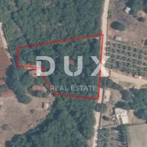 ISTRA, ROVINJ, OKOLICA - Prostrano zemljište 3380 m2 u blizini mora