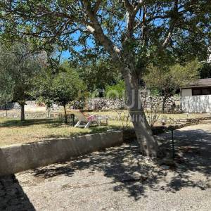 Istra, Rovinj - okolica, samostojeća kuća s okućnicom