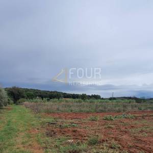 Istra, Rovinj, poljoprivredno zemljište 5000m2