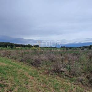 Istra, Rovinj, poljoprivredno zemljište 5000m2