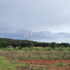 Istra, Rovinj, poljoprivredno zemljište 5000m2