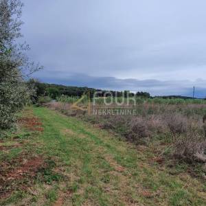 Istra, Rovinj, poljoprivredno zemljište 5000m2