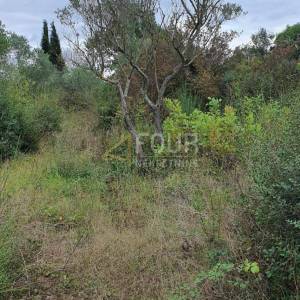 Istra, Rovinj, poljoprivredno zemljište 1.574m2