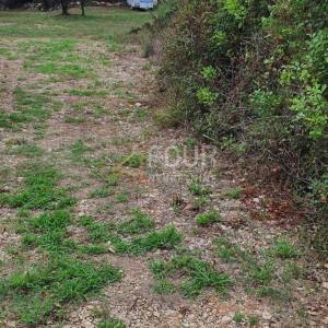 Istra, Rovinj, poljoprivredno zemljište 1.574m2