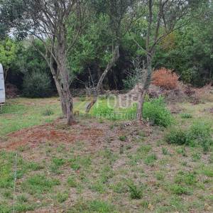 Istra, Rovinj, poljoprivredno zemljište 1.574m2