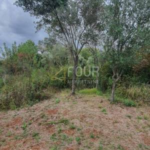 Istra, Rovinj, poljoprivredno zemljište 1.574m2