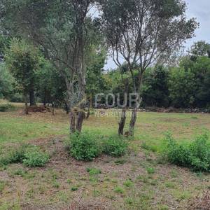 Istra, Rovinj, poljoprivredno zemljište 1.574m2