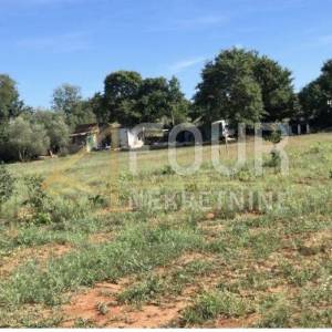 Istra, Rovinj, poljoprivredno zemljište 2.311m2