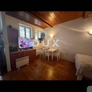 ISTRA, ROVINJ - Poslovni prostor i apartmn u Careri