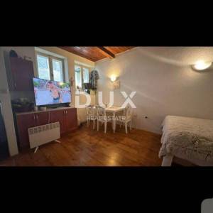 ISTRA, ROVINJ - Poslovni prostor i apartmn u Careri