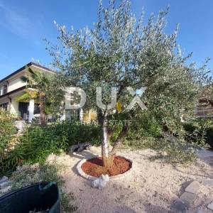 ISTRA, ROVINJ - Prekrasna vila s pogledom na more