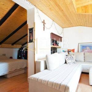 Istra, Rovinj, samostojeća kuća 440m2, okućnica 420m2