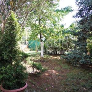 Istra, Rovinj, samostojeća kuća 440m2, okućnica 420m2
