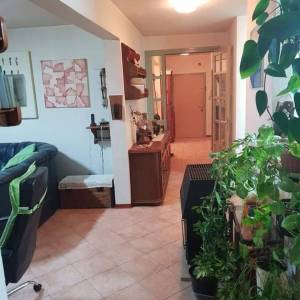 ISTRA- ROVINJ , trosoban stan s vrtom u blizini centra