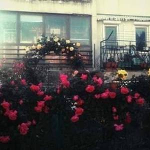 ISTRA- ROVINJ , trosoban stan s vrtom u blizini centra
