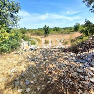 ISTRA, SALVELA - Prostrano zemljište  7379 m2! 