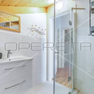 Istra, Šišan – Dvojna kuća s tri apartmana, idealna za investiciju