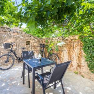 Istra, Šišan – Dvojna kuća s tri apartmana, idealna za investiciju
