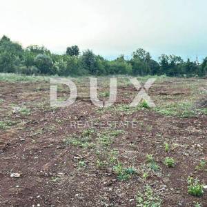 ISTRA, ŠIŠAN - Građevinsko zemljište industrijsko poslovne namjene 4300 m2