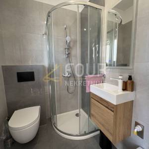 Istra, Šišan, novogradnja, 214m2, kuća s 2 stana + pomoćni objekt