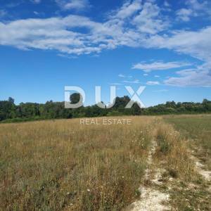 ISTRA, ŠIŠAN - poljoprivredno zemljište 800m2