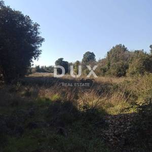 ISTRA, ŠIŠAN - Poljoprivredno zemljište pred urbanizaciju - BLIZINA MORA!!