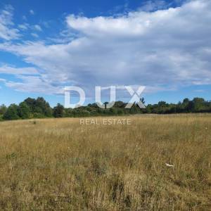 ISTRA - ŠIŠAN, poljoprivredno zemljište 800m2