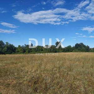 ISTRA - ŠIŠAN, poljoprivredno zemljište 800m2