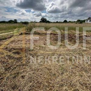 Istra, Šišan, poljoprivredno zemljište 500m2