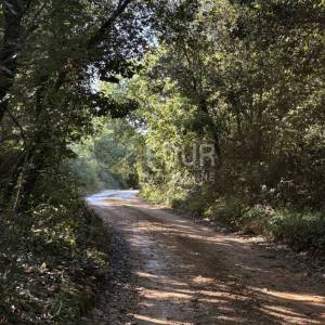 Istra, Šišan, poljoprivredno zemljište, 10.624m2