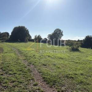 Istra, Šišan, poljoprivredno zemljište, 10.624m2