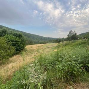 ISTRA, SOVINJAK - RUŠEVINA + ZEMLJIŠTE 57.356 m2