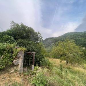 ISTRA, SOVINJAK - RUŠEVINA + ZEMLJIŠTE 57.356 m2