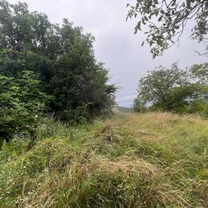 ISTRA, SOVINJAK - RUŠEVINA + ZEMLJIŠTE 57.356 m2