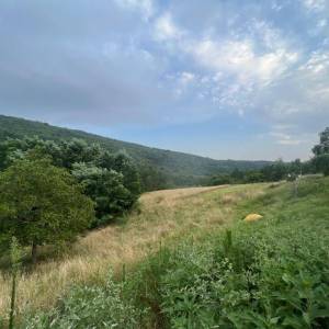 ISTRA, SOVINJAK - RUŠEVINA + ZEMLJIŠTE 57.356 m2