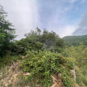 ISTRA, SOVINJAK - RUŠEVINA + ZEMLJIŠTE 57.356 m2