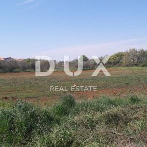 ISTRA, ŠTINJAN - Građevinsko zemljište 1.200 m od mora