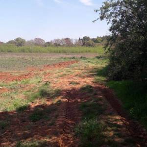 ISTRA, ŠTINJAN - Građevinsko zemljište 1.200 m od mora