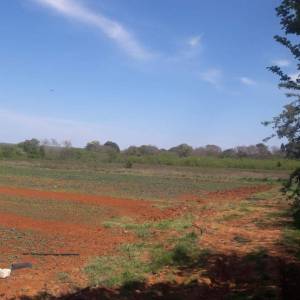 ISTRA, ŠTINJAN - Građevinsko zemljište 1.200 m od mora