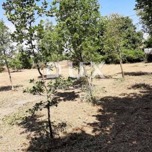 ISTRA, ŠTOKOVCI - Građevinsko zemljište 1829 m2