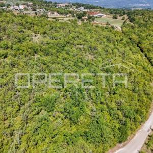 Istra, šuma u okolici Karojbe