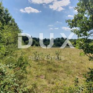 ISTRA, ŠUMBER - Zemljište na rubu građevinskog područja