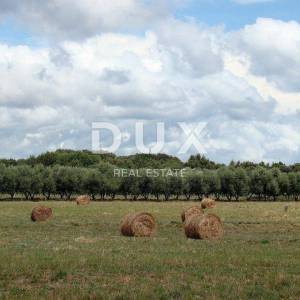 ISTRA - Super atraktivan građevinski teren, 16.000 m2