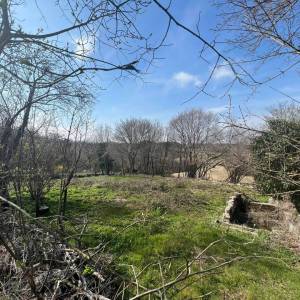 ISTRA, SV. PETAR U ŠUMI - Dvije starine s okućnicom 