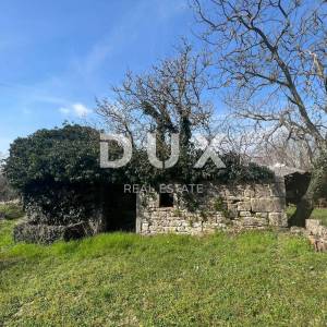 ISTRA, SV. PETAR U ŠUMI - Dvije starine s okućnicom 