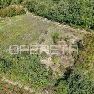 Istra, Sveti Lovreč okolica- građevinsko zemljište u kombinaciji s poljoprivredn