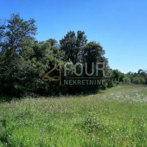 Istra, Sveti Lovreč, poljoprivredno zemljište 6.128m2